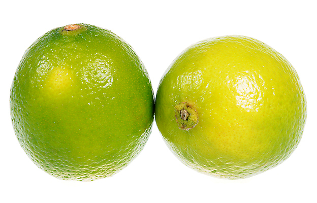 포토 JPG 해외이미지 커플 음식 백그라운드 2 다이어트 과일 재료 귤 건강 사람없음 초록색 노란색 흰색 신선 그룹 유기농 날것 라임 내추럴 고립 숙성 이국적 맛있는 해외포토 웰빙 컬러 관계 파일형식 이미지허브