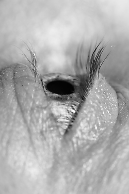 포토 JPG 해외이미지 학생 응시 컨셉 흑백 사람 사람없음 반사 닫기 속눈썹 묘사 붓꽃 해외포토 시선 꽃 모션 촬영기법 눈썹 파일형식 이미지허브