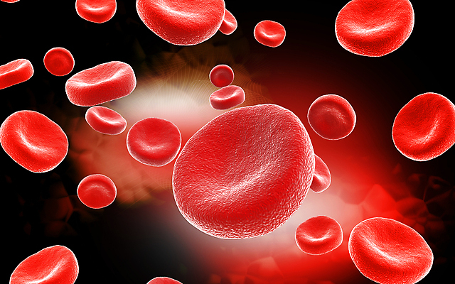 포토 JPG 해외이미지 세포 사람없음 빨간색 3D 적혈구 혈구 해외포토 컬러 디지털합성 혈관 파일형식 이미지허브