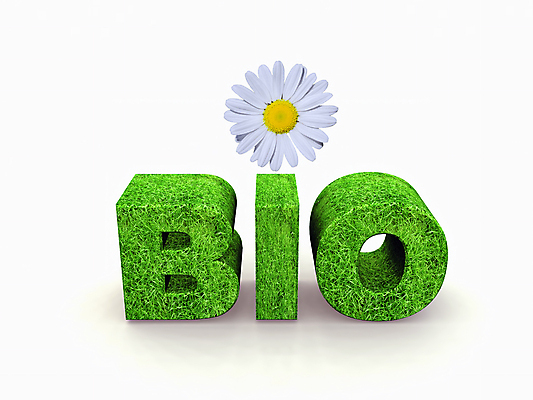 포토 JPG 해외이미지 꽃 백그라운드 컨셉 자연 아이디어 사람없음 초록색 환경 성장 신선 편지 에코 유기농 생태계 데이지 내추럴 바이오 생태학 해외포토 식물 웰빙 교육 컬러 파일형식 이미지허브