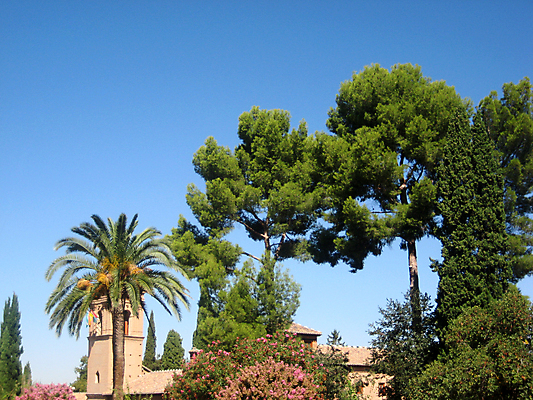 포토 JPG 해외이미지 나무 식물 공원 자연 하늘 사람없음 목재 초록색 여름 파란색 태양 정원 나뭇가지 바늘 스페인 그라나다 해외포토 자연요소 계절 공공시설 유럽 컬러 재료 도구 생태계 파일형식 이미지허브