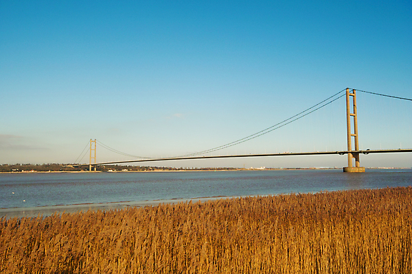포토 JPG 해외이미지 여행 사람없음 야외 물 강 연결 요크셔테리어 해외포토 자연요소 테리어 파일형식 이미지허브