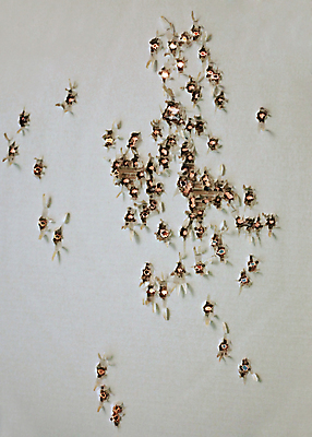 포토 JPG 해외이미지 디자인 실루엣 종이 무기 백그라운드 신체 오렌지 일러스트 미술 사람없음 그래픽 장식 컬러풀 유행 경쟁 줄무늬 수확 골동품 경찰 목표 큼 폭발 질감 복고 슛 그런지 때리기 스크랩북 엘리먼트 옛날 저격수 해외포토 직업 컬러 컨셉 무늬 농업 과일 모션 문화예술 촬영기법 크기 파일형식 이미지허브