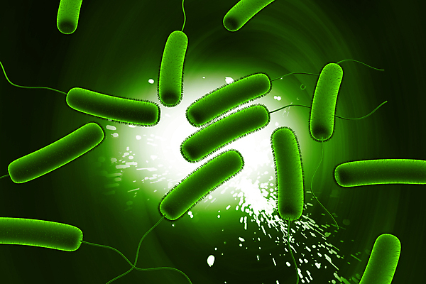 포토 JPG 해외이미지 교육 백그라운드 신체 일러스트 세포 건강 사람없음 초록색 3D 회색 바이러스 생물학 감염 미생물 박테리아 해외일러스트 컬러 의학 생물 디지털합성 파일형식 이미지허브