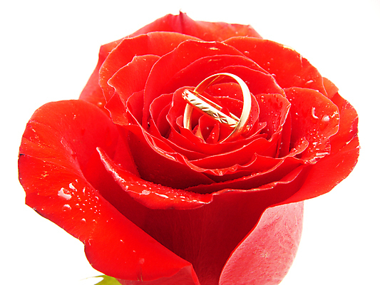 포토 JPG 해외이미지 커플 여자 기념일 남자 꽃잎 꽃 분홍색 꽃다발 결혼 백그라운드 잎 데이트 자연 결혼식 발렌타인데이 사랑 사람없음 빨간색 뷰티 신혼여행 흰색 하트 축하 반지 악단 신용카드 황금 우아함 보석 심볼 싱글 심플 다이아몬드 약혼 고립 해외포토 모양 식물 감정 음악 컬러 컨셉 장신구 관계 데이이벤트 사람 이벤트 금융 광석 생태계 약속 파일형식 이미지허브