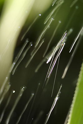 포토 JPG 해외이미지 파도 백그라운드 자연 사람없음 물 컬러풀 반사 거품 젖음 물방울 신선 액체 수면 떨어짐 빗방울 잔물결 스플래쉬 해외포토 자연요소 물결 바다 컬러 컨셉 비_날씨 생태계 파일형식 이미지허브