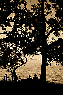 포토 JPG 해외이미지 나무 라이프스타일 커플 공원 노년 호수 바다 결혼 2 벤치 회사 관계 휴가 미래 휴식 친절 함께함 선물 사랑 사람 앉기 사람없음 침묵 추위 연못 시간 최고 쌍 기다림 고독 은퇴 지루함 과거 부드러움 옛날 해외포토 식물 공공시설 감정 컨셉 의자 비즈니스 모션 이벤트 성인 생활 소리 감각 파일형식 이미지허브