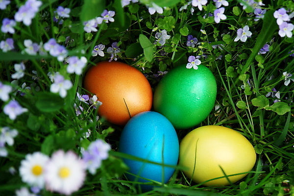 포토 JPG 해외이미지 전통 계절 꽃 행복 종교 꽃무늬 패턴 자연 하늘 휴가 부활절 선물 잔디 초원 사람없음 야외 장식 초록색 파란색 컬러풀 노란색 정원 계란 축제 봄 기쁨 흰색 축하 신선 그리기 둥지 민들레 심볼 데이지 사냥 내추럴 취급주의 스타일 해외포토 식물 기념일 감정 컬러 컨셉 무늬 모션 경고 알 생태계 파일형식 이미지허브