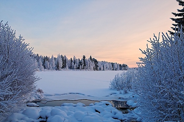 포토 JPG 해외이미지 나무 호수 겨울 오렌지 하늘 사람없음 물 파란색 얼음 숲 해외포토 자연요소 식물 계절 컬러 과일 파일형식 이미지허브