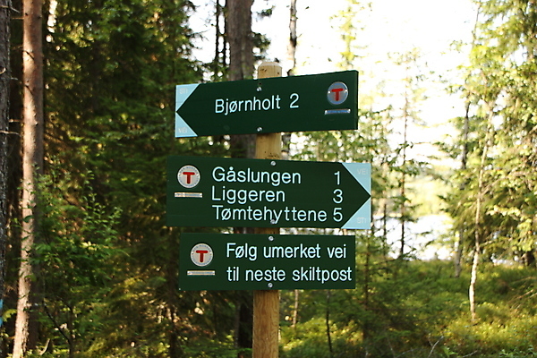 포토 JPG 해외이미지 나무 길 자국 스키 노르웨이 사람없음 빨간색 파란색 맑음 트래킹 굴 소나무 숲 오솔길 방향 관목 사인 자작나무 승진 T 깊이 선로 오슬로 월귤 해외포토 식물 알파벳 유럽 컬러 레저 날씨 어패류 겨울스포츠 파일형식 이미지허브