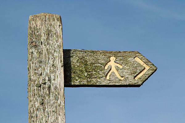 포토 JPG 해외이미지 여행 통신 하늘 화살 이끼 사람없음 야외 목재 파란색 숫자 노란색 걷기 가리킴 낟알 심볼 사인 해외포토 나무 문자 컬러 재료 모션 손짓 파일형식 이미지허브