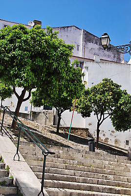 포토 JPG 해외이미지 나무 전통 외관 유럽 가로등 전구 건축양식 창문 하늘 조명 거리 주택 사람없음 건물 장식 초록색 파란색 빛 계단 금속 수확 골동품 등불 램프 도시 역사 보행로 클래식 도심 포르투갈 그림 복고 지역 리스본 옛날 해외포토 식물 건축물 공공시설 건축 나라 길 컬러 컨셉 농업 재질 파일형식 이미지허브