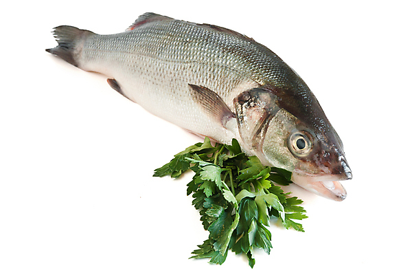 포토 JPG 해외이미지 파슬리 사람없음 허브 날것 도미 해외포토 식물 채소 어류 파일형식 이미지허브