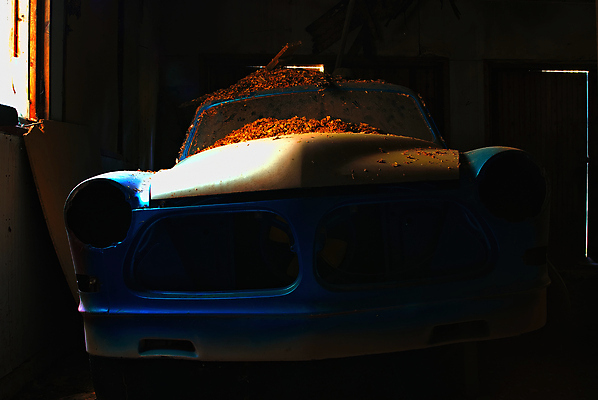 포토 JPG 해외이미지 사람없음 복원 아마존 프로젝트 해외포토 파일형식 이미지허브