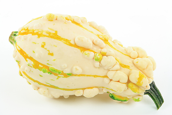 포토 JPG 해외이미지 계절 다이어트 채소 과일 건강 사람없음 노란색 흰색 신선 박 스쿼시 내추럴 숙성 식용 맛있는 해외포토 스포츠 컬러 구기 파일형식 이미지허브