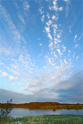 포토 JPG 해외이미지 식물 구름 공원 호수 자연 풍경 사람없음 물 환경 일몰 젖음 잡초 저녁 댐 생태계 내추럴 해외포토 자연요소 공공시설 노을 야간 파일형식 이미지허브