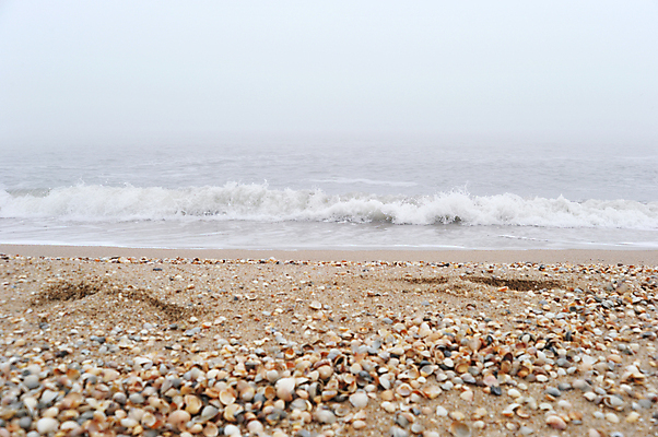 포토 JPG 해외이미지 모양 길 모래 파도 바다 여행 맨발 자연 날씨 휴가 휴식 해변 사람없음 야외 물 맑음 어둠 침묵 고요 산책 거품 추위 안개 고독 인쇄 발자국 사인 장면 주말 폭풍 흐림 단계 넘어짐 뇌우 방법 선로 양발 해외포토 자연요소 감정 컨셉 자국 모션 발 소리 생태계 파일형식 이미지허브