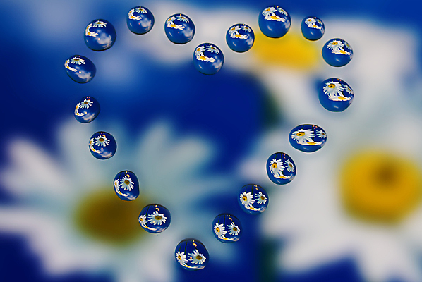 포토 JPG 해외이미지 꽃 백그라운드 자연 유리 사람없음 물 파란색 빛 숫자 반사 노란색 거품 하트 신선 액체 그룹 선택 떨어짐 이슬 작음 순수 여의주 캐모마일 효과 해외포토 자연요소 모양 식물 문자 컬러 컨셉 재질 크기 허브 생태계 파일형식 이미지허브