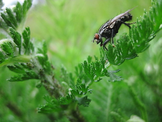 포토 JPG 해외이미지 휴식 사람없음 검은색 해외포토 컬러 컨셉 파일형식 이미지허브
