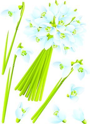 EPS 해외이미지 식물 계절 꽃잎 꽃 줄기 꽃다발 백그라운드 잎 꽃무늬 일러스트 자연 초록색 파란색 세트 봄 흰색 시간 개화 그룹 다발 오브젝트 내추럴 조립 고립 타격 헌병 해외일러스트 컬러 무늬 모션 군인 생태계 파일형식 벡터 이미지허브