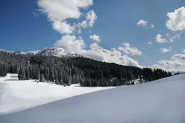 포토 JPG 해외이미지 나무 계절 여행 백그라운드 크리스마스 겨울 자연 하늘 날씨 휴가 산 파노라마 사람없음 야외 파란색 빛 햇빛 뷰티 환경 냉동 얼음 추위 흰색 신선 숲 시원함 서리 장면 생태학 절정 수평선 해외포토 자연요소 식물 교육 기념일 컬러 촬영기법 태양 생태계 파일형식 이미지허브