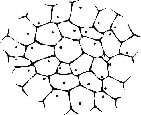 EPS 해외이미지 과학 백그라운드 패턴 일러스트 해부 추상 생물 세포 흑백 현미경 미술 그래픽 약 웹 네트워크 바이러스 낙서 만화 스케치 불안 피부 질감 생물학 미생물 시스템 암 망사 리빙 박테리아 그런지 바이오 엘리먼트 인공 핵심 셀룰러 해외일러스트 교육 감정 무늬 인터넷 의학 문화예술 촬영기법 실험기구 신체부위 직물 질병 파일형식 벡터 이미지허브