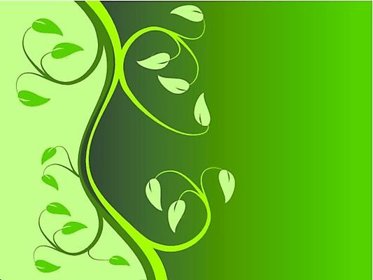 EPS 해외이미지 모양 식물 디자인 꽃 백그라운드 잎 꽃무늬 패턴 일러스트 벽지 추상 미술 장식 초록색 봄 소용돌이 나뭇가지 민트 그림 포도나무 엘리먼트 해외일러스트 나무 계절 컬러 무늬 문화예술 회오리 과일나무 허브 파일형식 벡터 이미지허브