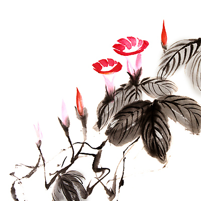 JPG 해외이미지 일러스트 붓터치 미술 사람없음 빨간색 먹 동양화 그림 번짐 나팔꽃 해외일러스트 꽃 컬러 서예 문화예술 파일형식 효과 이미지허브