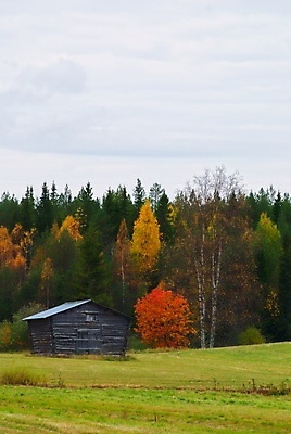 포토 JPG 해외이미지 농업 오렌지 사람없음 초록색 시골 외양간 옛날 해외포토 산업 컬러 과일 파일형식 이미지허브