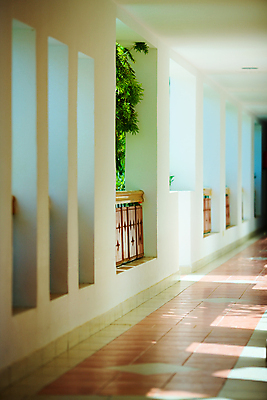 포토 JPG 해외이미지 나무 식물 꽃 벽 패턴 건축양식 호텔 휴가 전등 바닥 주택 실내 이집트 그림자 사람없음 건물 초록색 햇빛 태양 문 침묵 봄 흰색 기둥 복도 터널 우아함 통로 아치 휴양지 심플 장면 칠면조 옛날 스타일 해외포토 자연요소 건축물 계절 건축 길 컬러 컨셉 무늬 아프리카 조류 숙소 조명 내부 소리 장소 파일형식 이미지허브