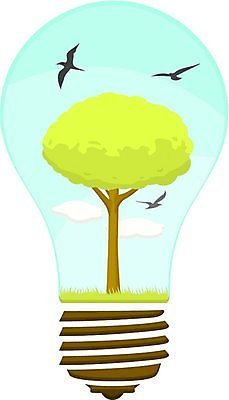 EPS 해외이미지 나무 구름 일러스트 전구 조류 하늘 실내 풍경 초록색 파란색 빛 환경 흰색 램프 생태계 생태학 해외일러스트 자연요소 식물 동물 교육 컬러 조명 내부 파일형식 벡터 이미지허브
