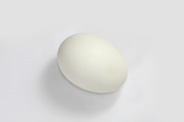 포토 JPG 해외이미지 음식 백그라운드 재료 자연 요리 사람없음 계란 공백 흰색 신선 아침식사 먹기 심볼 오브젝트 싱글 날것 슛 고립 해외포토 컬러 모션 알 식사 생태계 파일형식 이미지허브