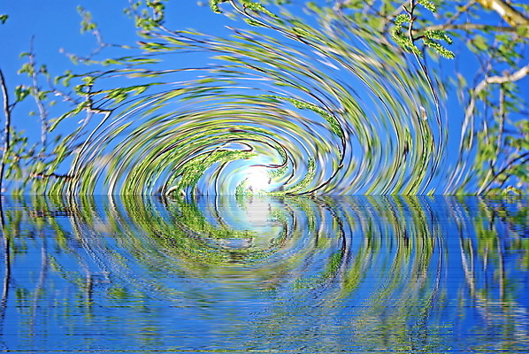 포토 JPG 해외이미지 식물 디자인 계절 바다 여행 백그라운드 자연 벽지 하늘 아침 날씨 사람없음 야외 물 파란색 빛 컬러풀 햇빛 태양 뷰티 반사 우주 맑음 봄 성장 벚꽃 나뭇가지 신선 소프트포커스 보케 천국 내추럴 블러 수평선 해외포토 주간 자연요소 나무 꽃 컬러 촬영기법 생태계 파일형식 이미지허브