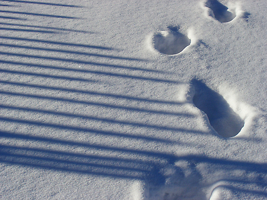 포토 JPG 해외이미지 계절 공원 겨울 자연 그림자 사람없음 울타리 일몰 산책 추위 안개 흰색 시골 황무지 숲 뿌연 해외포토 공공시설 컬러 날씨 휴식 담장 노을 생태계 파일형식 이미지허브