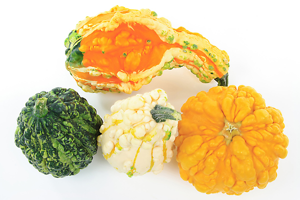 포토 JPG 해외이미지 계절 음식 다이어트 오렌지 과일 건강 사람없음 초록색 컬러풀 노란색 흰색 신선 달콤 매끈함 피부 내추럴 숙성 맛있는 해외포토 컬러 신체부위 감각 맛 파일형식 이미지허브