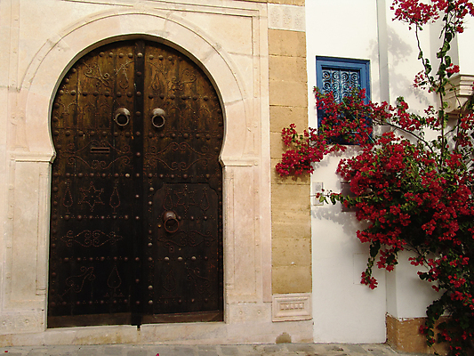 포토 JPG 해외이미지 꽃 아프리카 사람없음 여행객 문 역사 북쪽 아랍어 튀니지 해외포토 식물 나라 사람 방향 파일형식 이미지허브