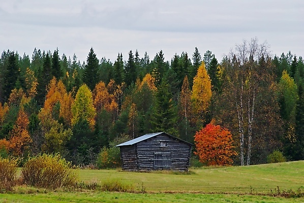 포토 JPG 해외이미지 농업 오렌지 사람없음 초록색 가을 시골 외양간 옛날 해외포토 계절 산업 컬러 과일 파일형식 이미지허브