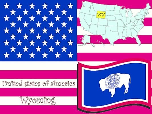 EPS 해외이미지 디자인 지도 일러스트 새로움 초록색 미국 하와이 캘리포니아 북쪽 애리조나 알래스카 고립 서쪽 와이오밍 워싱턴 저지 조지아 콜로라도 텍사스 플로리다 해외일러스트 컬러 컨셉 북아메리카 방향 동유럽 파일형식 벡터 이미지허브