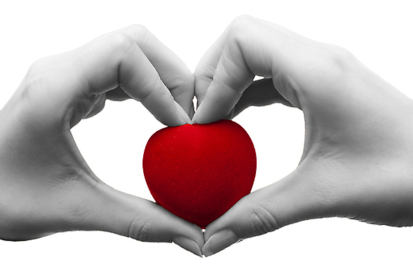 포토 JPG 해외이미지 손 흑백 사랑 신체부위 빨간색 하트 보여주기 손하트 해외포토 모양 감정 컬러 모션 촬영기법 사람 손짓 파일형식 이미지허브