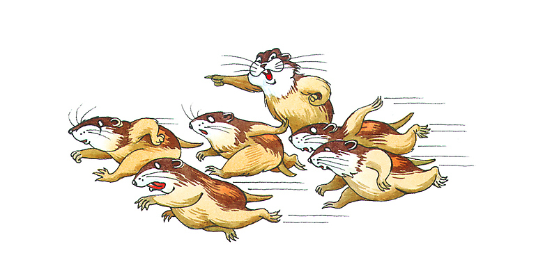 포토 JPG 해외이미지 동물 유럽 야생동물 일러스트 포유류 모션 수채화 동물원 사람없음 세계 달리기 유머 군중 쥐 설치류 만화 북극 그림 리더 팩 삭제 달리기선수 집게발 이민 해외일러스트 감정 나라 이동 사람 화장품 극지방 육상선수 파일형식 이미지허브