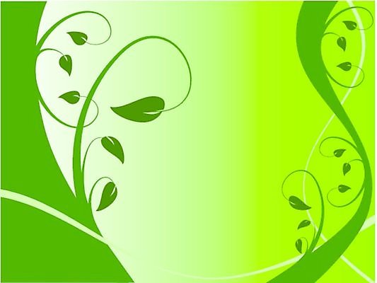 EPS 해외이미지 모양 식물 디자인 꽃 나비 백그라운드 잎 꽃무늬 패턴 일러스트 벽지 추상 미술 장식 초록색 봄 소용돌이 나뭇가지 민트 그림 포도나무 엘리먼트 해외일러스트 나무 계절 컬러 곤충 무늬 문화예술 회오리 과일나무 허브 파일형식 벡터 이미지허브