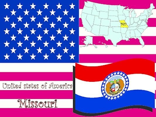 EPS 해외이미지 디자인 지도 일러스트 새로움 초록색 미국 하와이 캘리포니아 북쪽 애리조나 알래스카 고립 서쪽 와이오밍 워싱턴 저지 조지아 콜로라도 텍사스 플로리다 해외일러스트 컬러 컨셉 북아메리카 방향 동유럽 파일형식 벡터 이미지허브