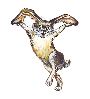 포토 JPG 해외이미지 나무 동물 행복 야생동물 크리스마스 겨울 일러스트 포유류 발 자연 휴가 새로움 털 웃음 사람없음 그래픽 반려동물 점프 일몰 흙 기쁨 달 게임 축하 춤 유머 설치류 만화 모피 연도 그림 귀 고립 숙성 캐리커처 해외일러스트 자연요소 식물 계절 기념일 감정 컨셉 모션 놀이 문화예술 표정 신체부위 노을 생태계 파일형식 이미지허브