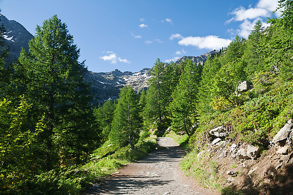 포토 JPG 해외이미지 나무 구름 유럽 도로 길 스포츠 여행 자국 자연 하늘 휴가 산 풍경 초원 사람없음 야외 초록색 여름 파란색 울타리 걷기 계곡 맑음 침묵 이탈리아 하이킹 소나무 숲 알프스 먼지 방법 절정 해외포토 자연요소 식물 계절 나라 컬러 교통시설 모션 레저 날씨 담장 소리 생태계 파일형식 이미지허브