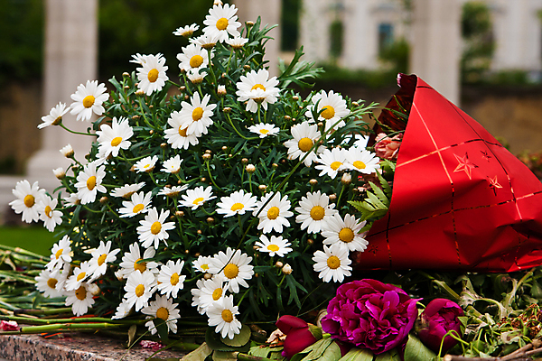 포토 JPG 해외이미지 꽃 꽃다발 사람없음 가로 애도 기념물 추모 해외포토 식물 파일형식 이미지허브