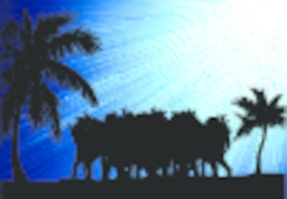 EPS 해외이미지 나무 모델 손 디자인 드레스 여자 남자 실루엣 별 음악 백그라운드 신체 일러스트 자연 휴가 손바닥 그림자 사람 소년 친구 파티 유행 검은색 댄서 춤 그룹 우아함 복고 디스코 윤곽 쇼 펑키 보여주기 해외일러스트 자연요소 식물 직업 옷 어린이 컬러 컨셉 관계 모션 문화예술 촬영기법 이벤트 신체부위 생태계 파일형식 벡터 이미지허브