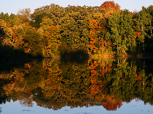 포토 JPG 해외이미지 나무 식물 공원 호수 잎 자연 주전자 사람없음 야외 물 반사 평화 환경 미국 침묵 연못 화려 보호 숲 생물학 남쪽 내추럴 생태학 해외포토 자연요소 공공시설 교육 컨셉 북아메리카 주방용품 소리 방향 생태계 파일형식 이미지허브