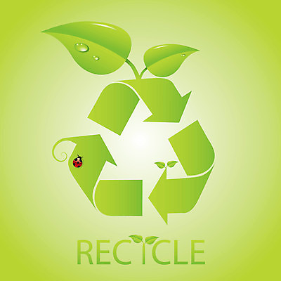 EPS 해외이미지 잎 일러스트 화살 경사 초록색 환경 재활용 그늘 무당벌레 고립 생태학 해외일러스트 식물 교육 컬러 곤충 친환경 파일형식 벡터 이미지허브