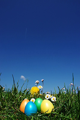 포토 JPG 해외이미지 전통 계절 꽃 행복 종교 꽃무늬 패턴 자연 하늘 휴가 부활절 선물 잔디 사람없음 야외 장식 초록색 파란색 컬러풀 노란색 정원 계란 축제 봄 기쁨 흰색 축하 신선 그리기 둥지 민들레 심볼 데이지 사냥 내추럴 취급주의 스타일 해외포토 식물 기념일 감정 컬러 컨셉 무늬 모션 경고 알 생태계 파일형식 이미지허브