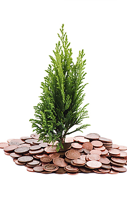 포토 JPG 해외이미지 나무 식물 꽃 유럽 컨셉 잎 돈 비즈니스 자연 성공 아이디어 씨앗 사람없음 초록색 금융 경제 쌓기 동전 저축 에너지 유로 성장 흰색 나뭇가지 시장 재산 황금 심볼 투자 흙더미 진행 대출 고립 관심 돌봄 수입 헬프 많음 해외포토 나라 컬러 모션 흙 도움 생태계 파일형식 더미 이미지허브